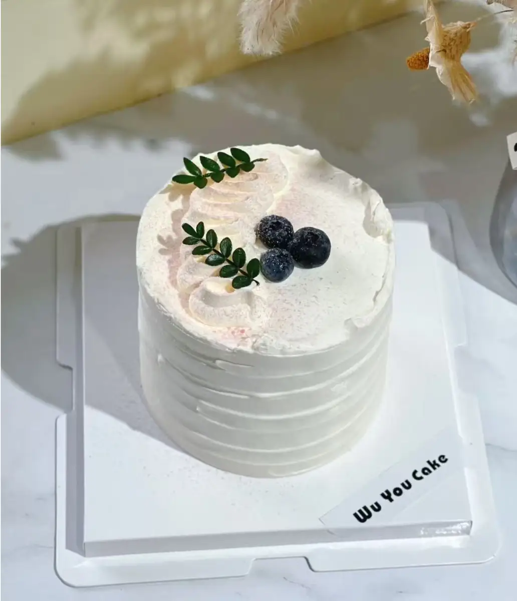 Cake 048